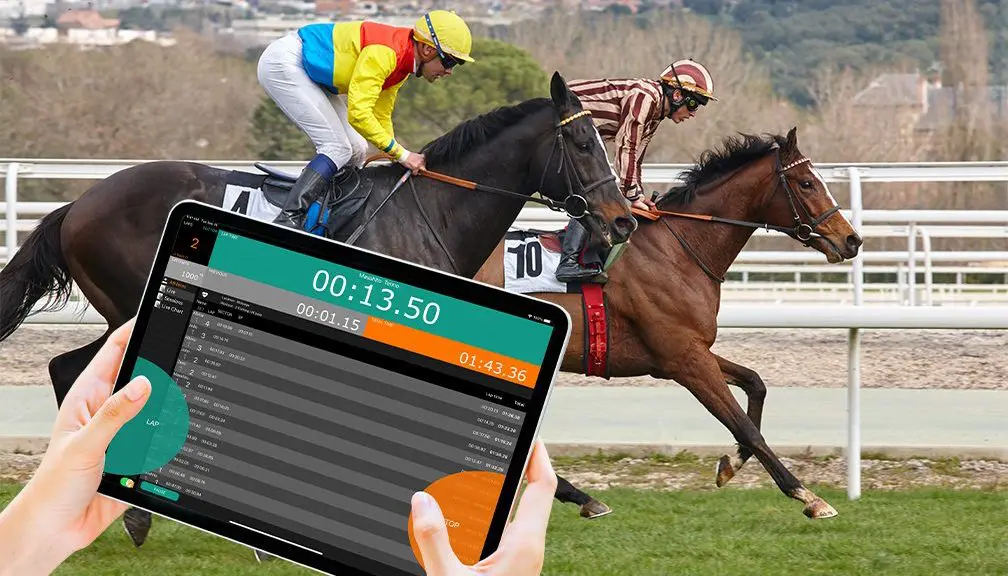 Horse Betting Software: Innovation and Quality